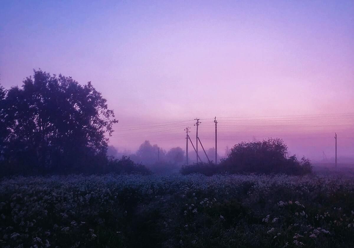 悬疑恐怖巅峰神作盘点，本本刺激你的神经！